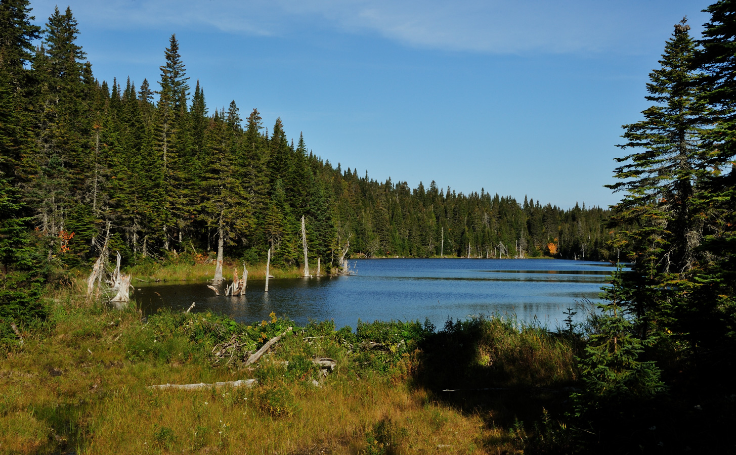 Parc National Forillon [55 mm, 1/160 sec at f / 25, ISO 400]